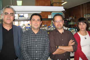 Expertos-del-Instituto-de-Ciencia-de-Materiales-de-Sevilla-y-de-la-Universidad-de-Mlaga