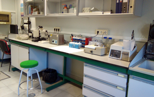 IMG_20161229_115815_312