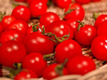 18-10-04-PielTomateWeb_01